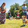leash manners training